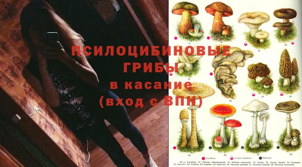 ALPHA PVP Баксан